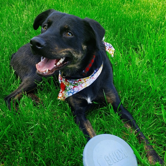 Meet your seller/buyer! π€π―ββοΈππ»π - Picture 5 of 5